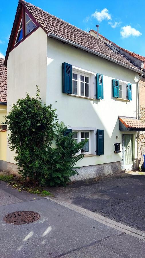 Schoenes Gemuetliches Haus Toplage 프라인스하임 외부 사진
