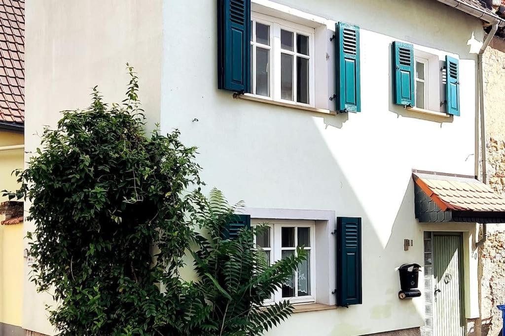 Schoenes Gemuetliches Haus Toplage 프라인스하임 외부 사진
